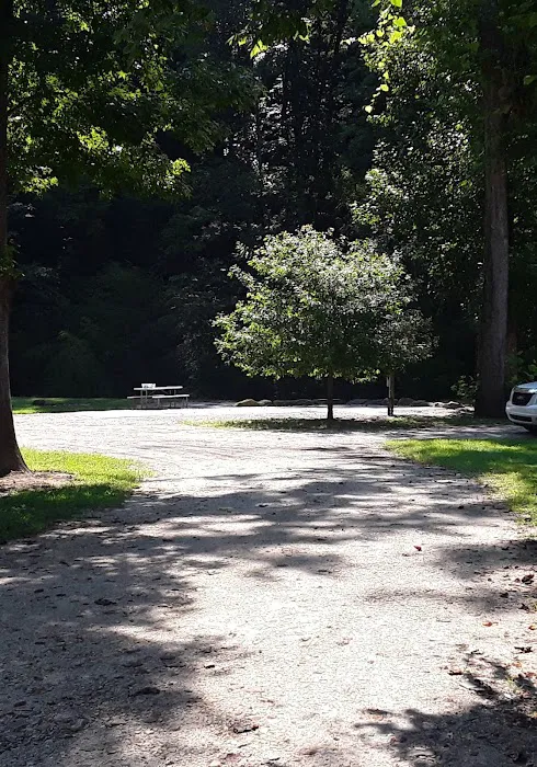Eastatoee River RV Park Picture 4