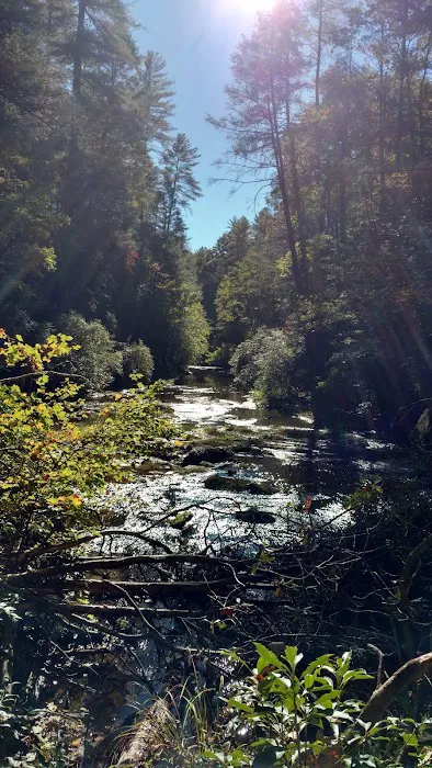 Eastatoee River RV Park Picture 7