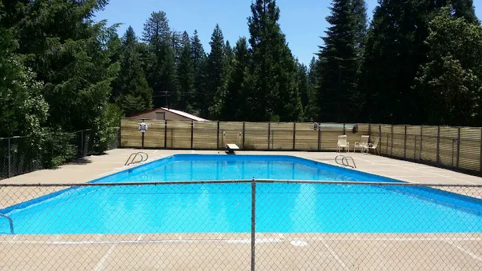 Camp Paradise Picture 2