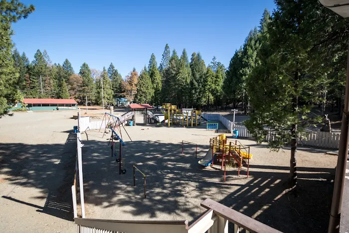 Camp Paradise Picture 3