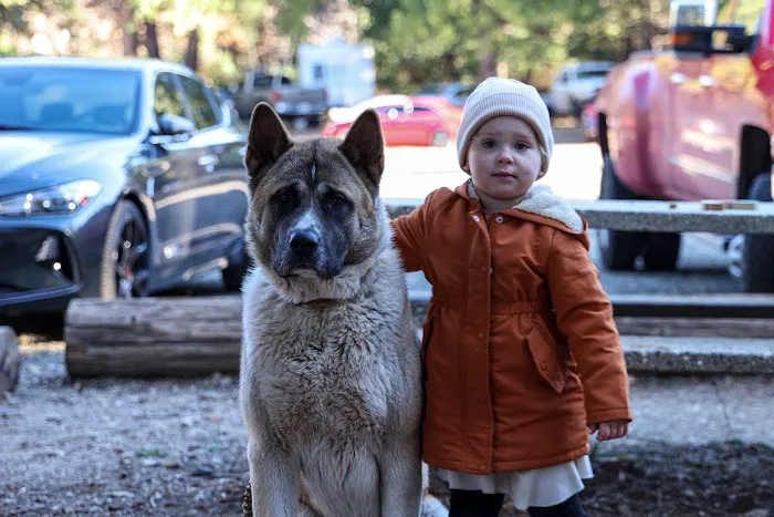 Camp Paradise Picture 7