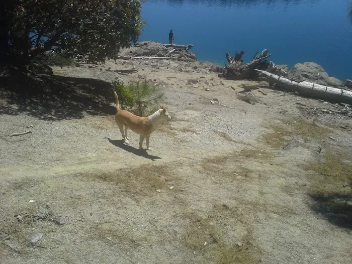 Sly Creek Campground Picture 9