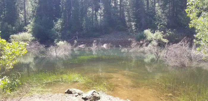 Strawberry Campground Plumas National Forest Picture 3