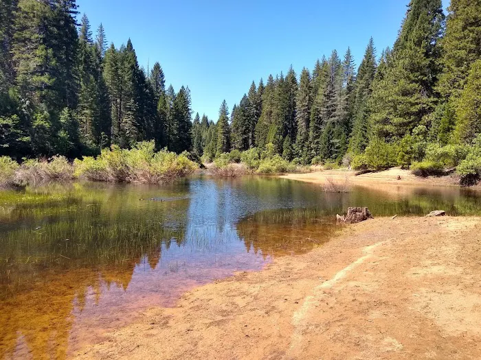 Strawberry Campground Plumas National Forest Picture 1