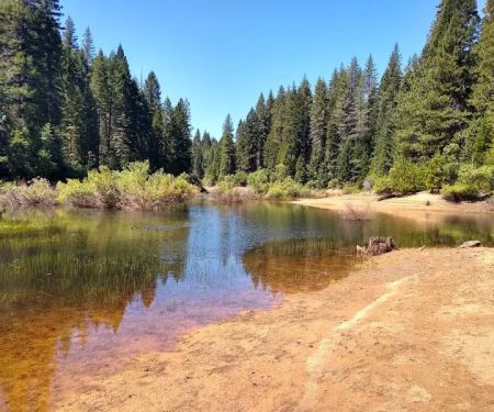 Strawberry Campground Plumas National Forest