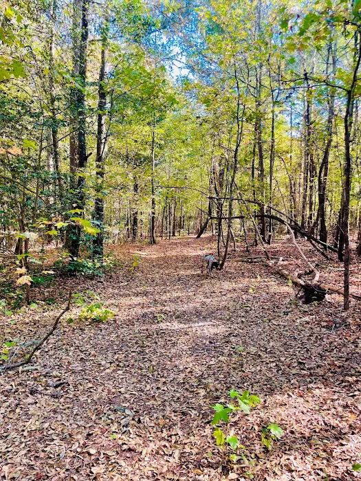 Eden Farm RV Park Picture 5