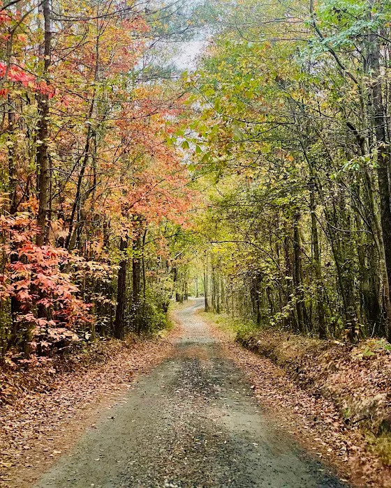 Eden Farm RV Park Picture 4