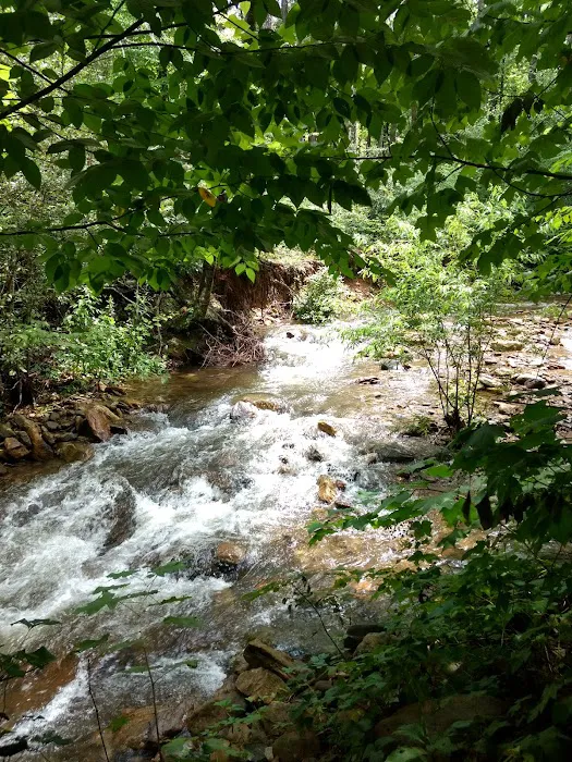 Stony Fork Creek RV Park Picture 3