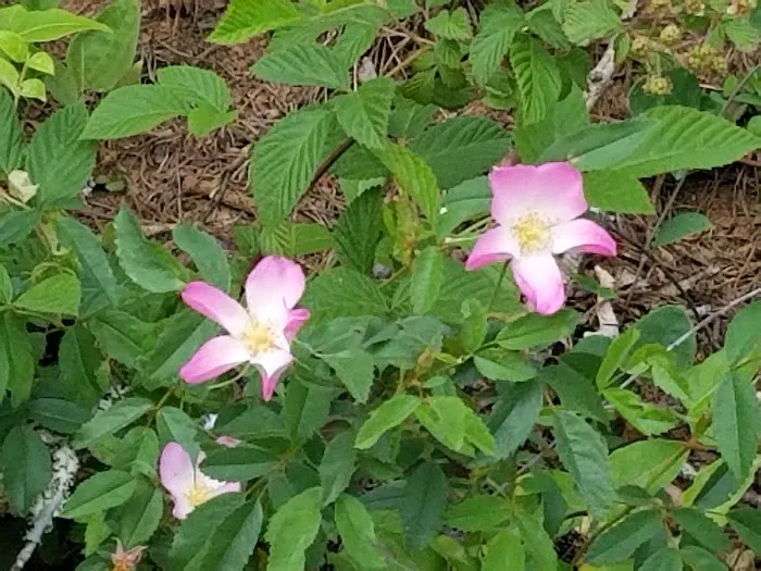 98 Saints Place Picture 3