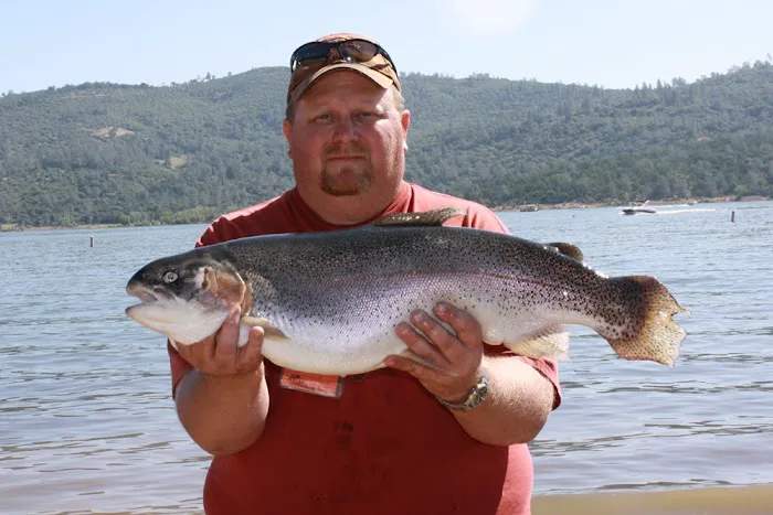 Collins Lake Picture 3