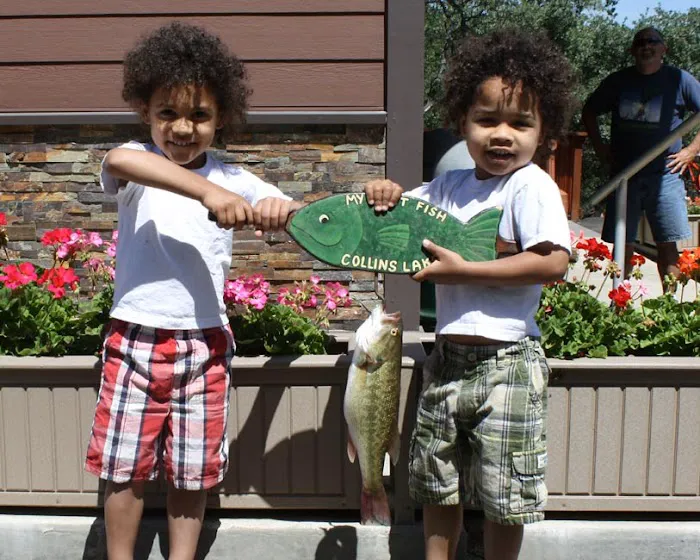 Collins Lake Picture 5