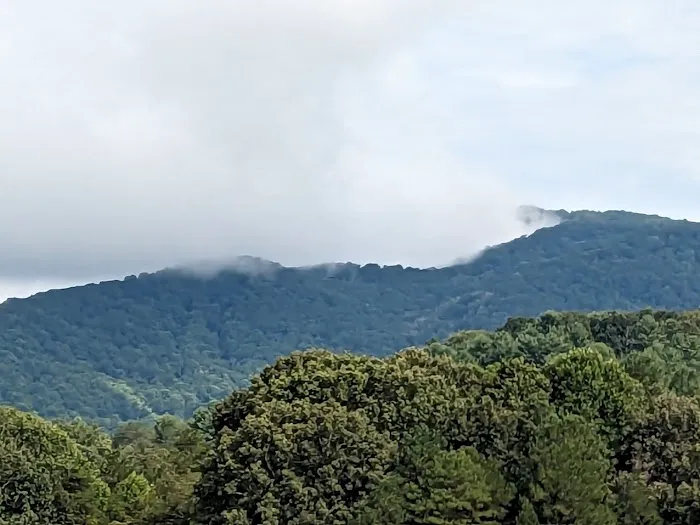 Walnut Ridge Picture 8