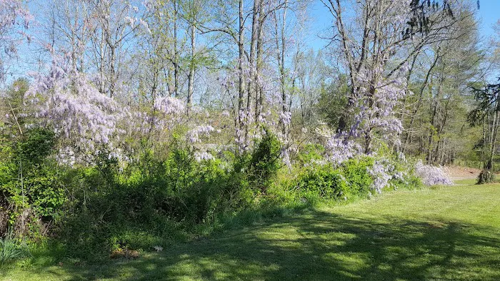 Walnut Ridge Picture 7