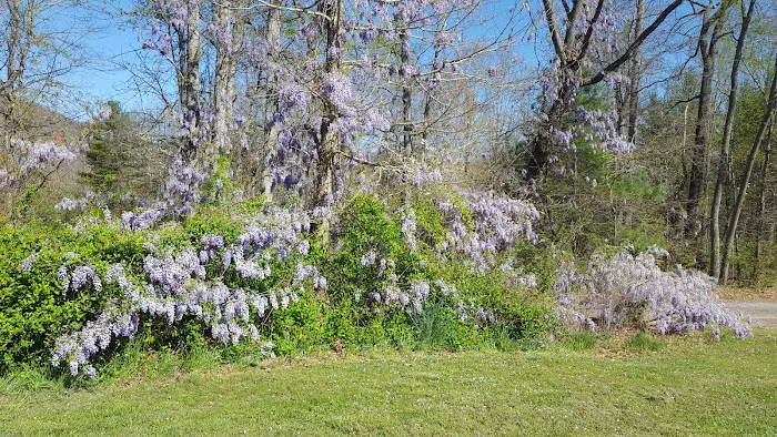 Walnut Ridge Picture 10