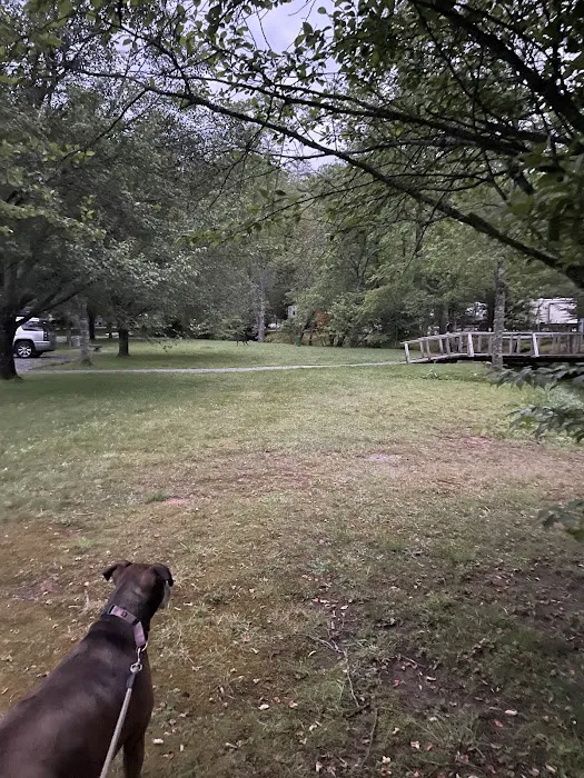 Blue Ridge Falls Rv Resort (Formerly Riverbend RV Resort Picture 10