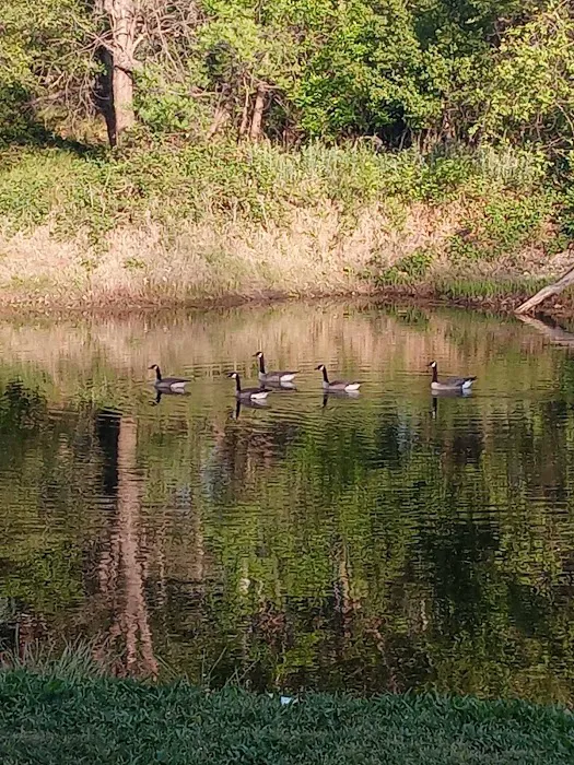 Sycamore Ranch Picture 5