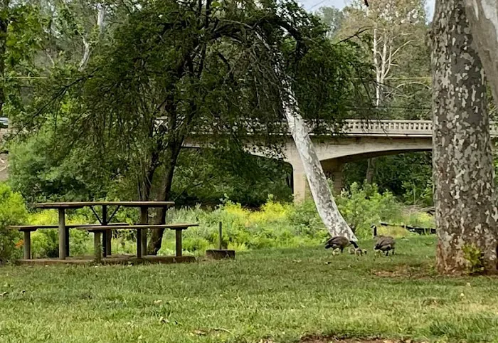 Sycamore Ranch Picture 9