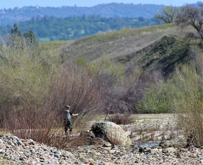 Sycamore Ranch Picture 8