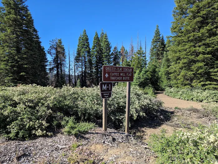 Grizzly Flat Dispersed Campground Picture 4