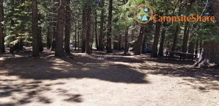 Grizzly Flat Dispersed Campground Picture 6