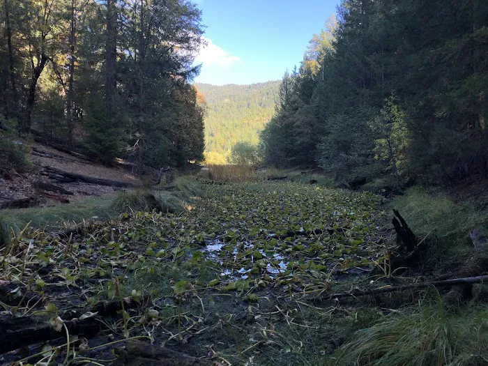 Howard Meadows Campground Picture 6