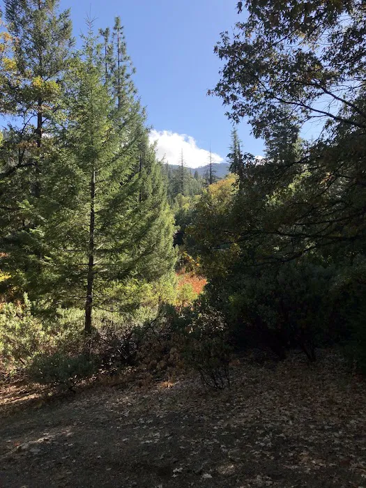 Howard Meadows Campground Picture 9