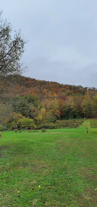 North Evarts RV Park Picture 3