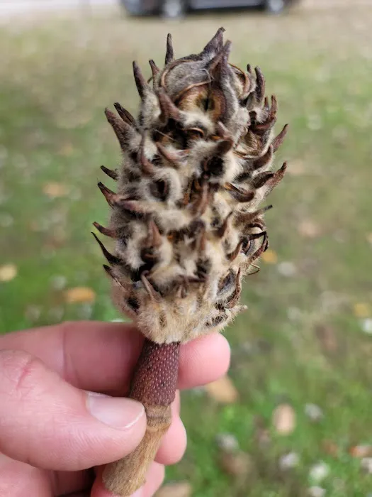 North Evarts RV Park Picture 4