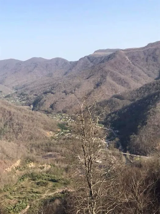 North Evarts RV Park Picture 10