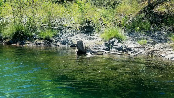 Eel River Campground Picture 4