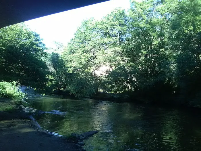 Eel River Campground Picture 6