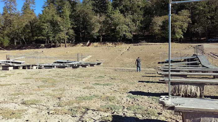 Sunset Point Campground Picture 4
