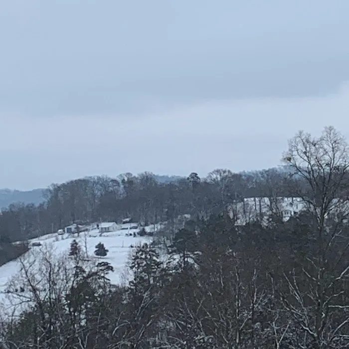 Paradise Pointe Picture 4