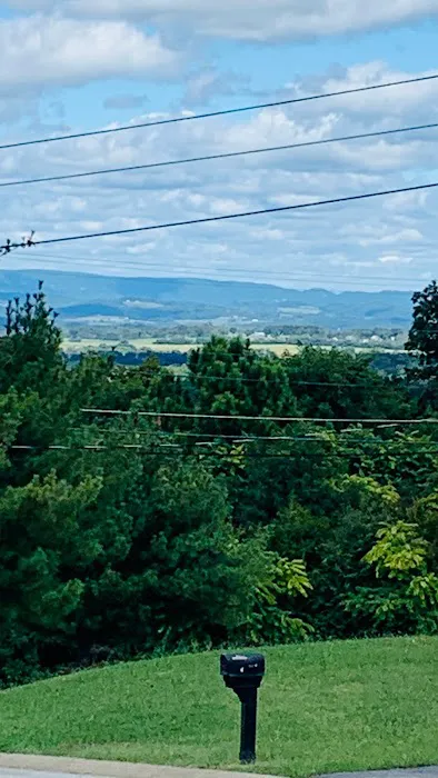 Paradise Pointe Picture 8