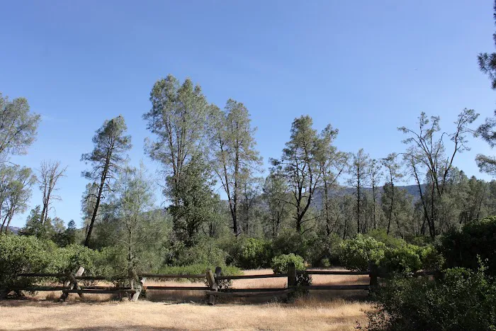 Oak Flat Campground Picture 2