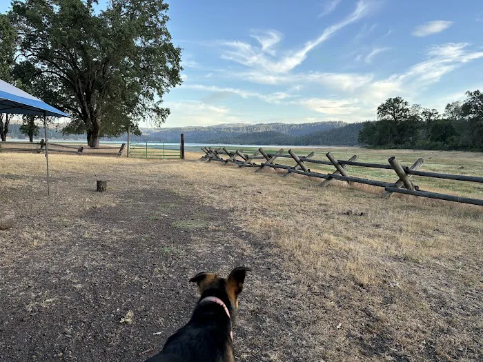 Oak Flat Campground Picture 8