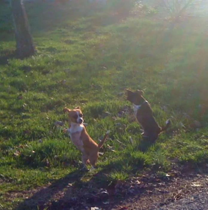 Overlook RV Park Picture 8