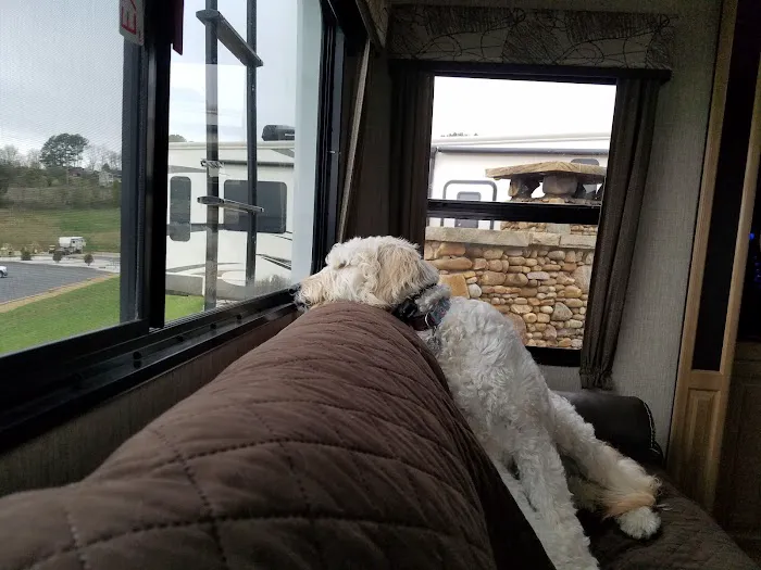 Anchor Down RV Resort Picture 1