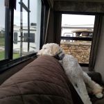 Anchor Down RV Resort