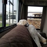 Anchor Down RV Resort ico