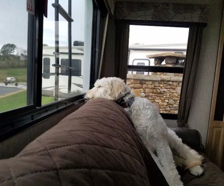 Anchor Down RV Resort