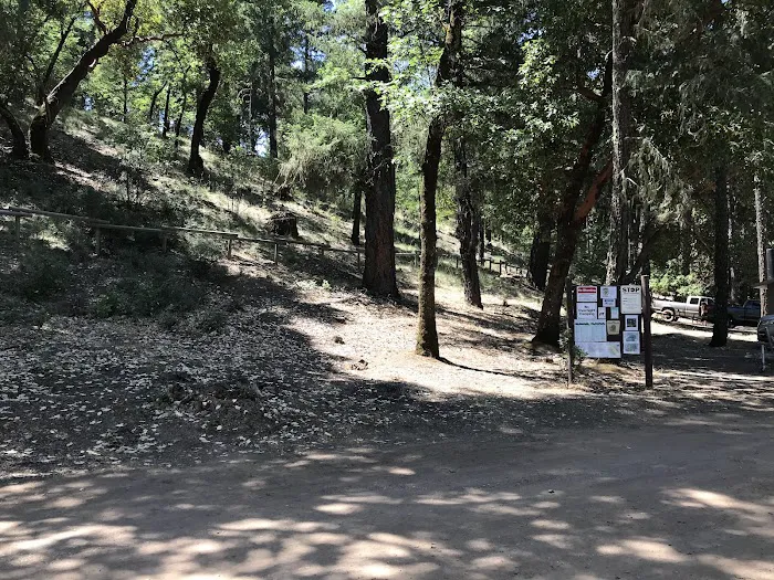 Pine Point Picnic Picture 8