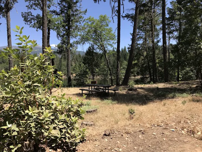 Pine Point Picnic Picture 6