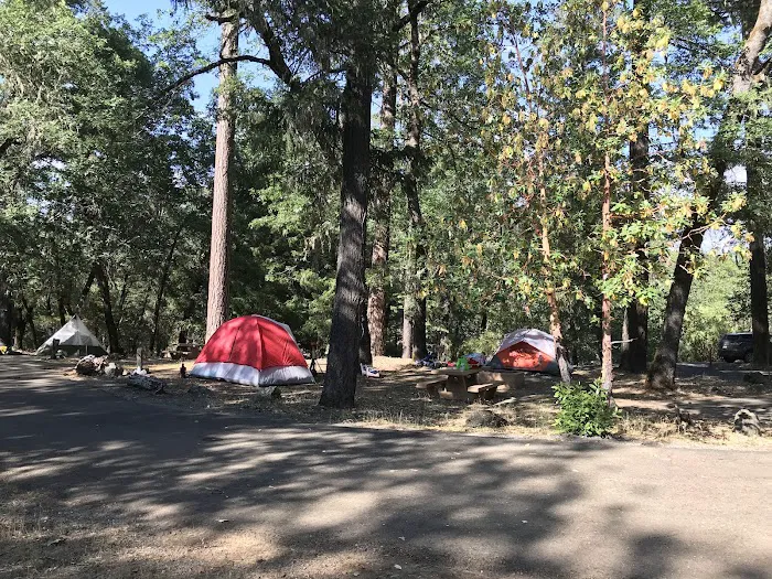 Pogie Point Campground Picture 2