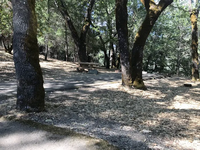 Pogie Point Campground Picture 7