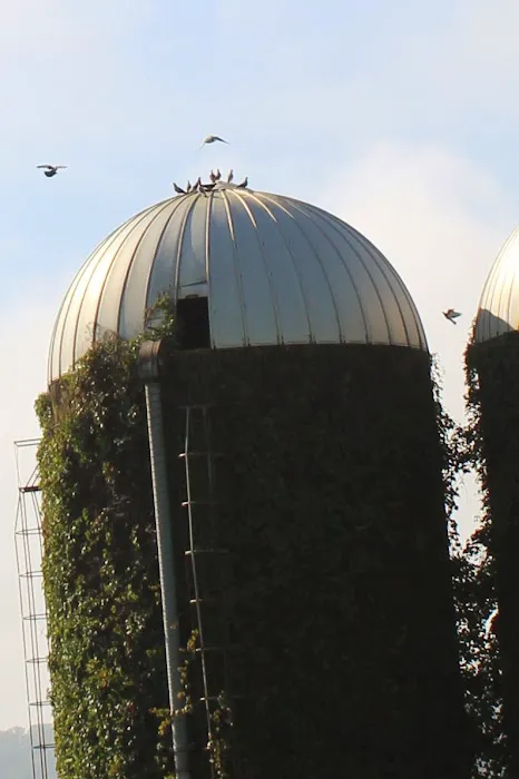 Dumplin Valley Farm RV Park Picture 9