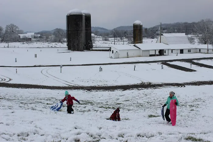 Dumplin Valley Farm RV Park Picture 4