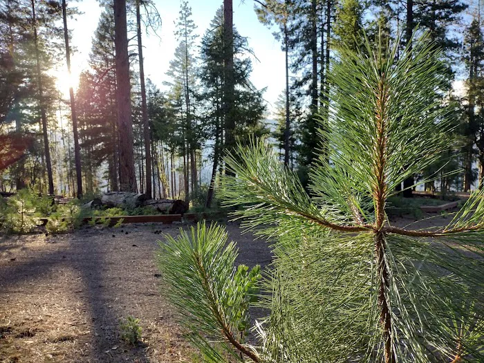 Old Mill Campground Picture 3