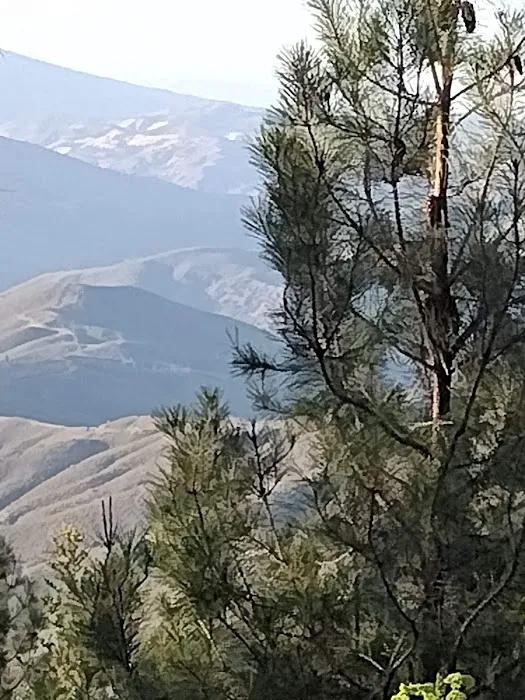 Old Mill Campground Picture 6