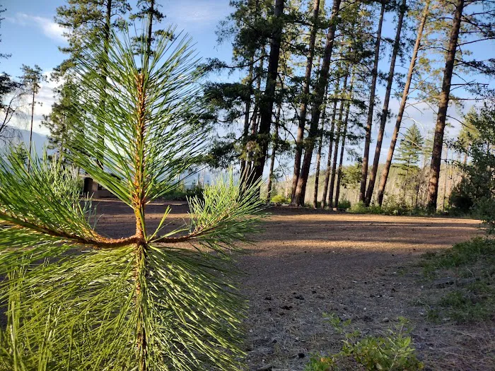 Old Mill Campground Picture 8